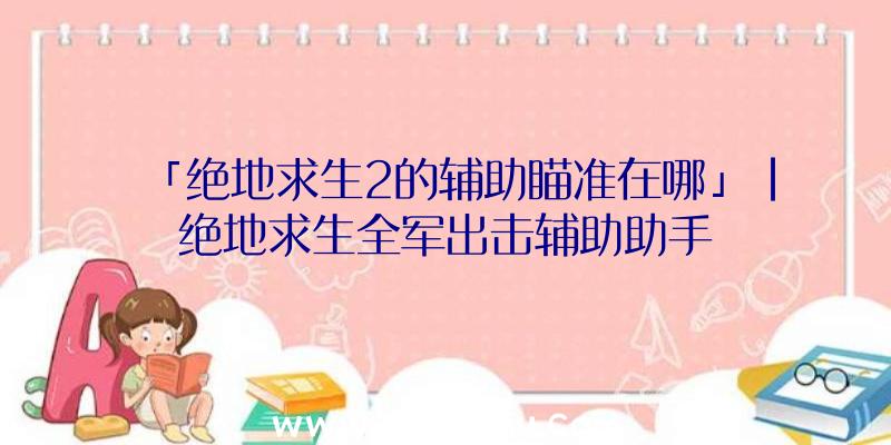 「绝地求生2的辅助瞄准在哪」|绝地求生全军出击辅助助手